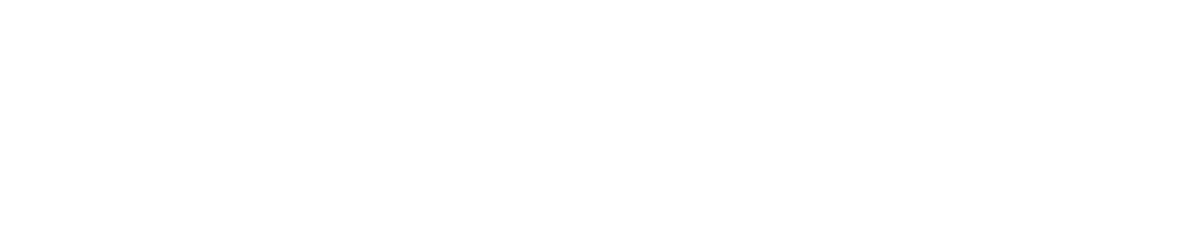 Plastinka